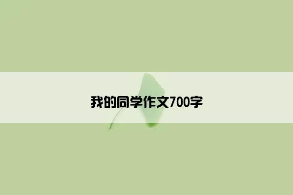 我的同学作文700字