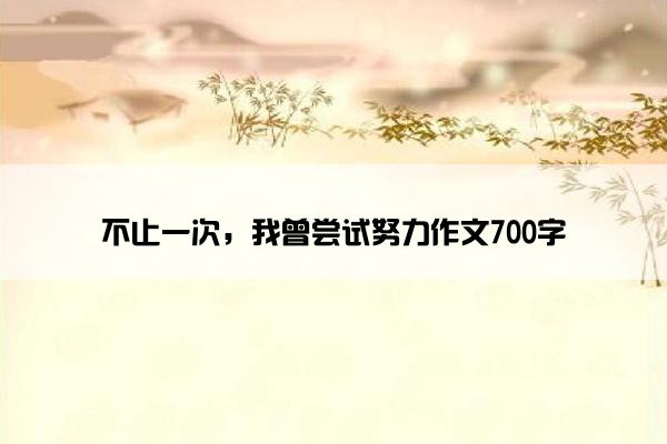 不止一次，我曾尝试努力作文700字