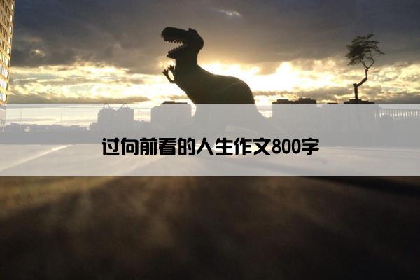 过向前看的人生作文800字