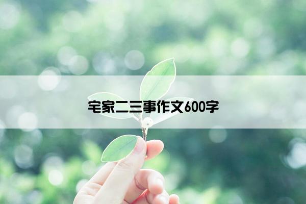 宅家二三事作文600字