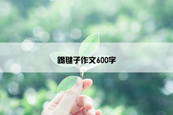 踢毽子作文600字