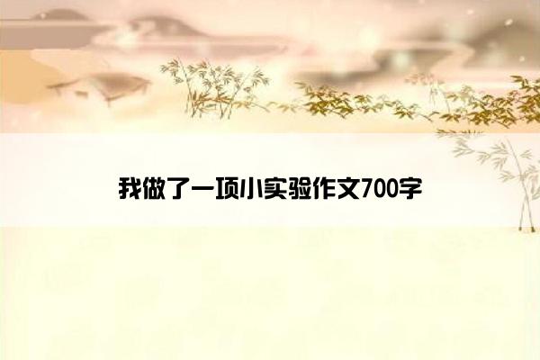 我做了一项小实验作文700字