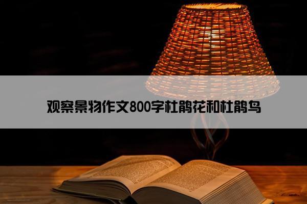 观察景物作文800字杜鹃花和杜鹃鸟