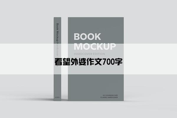 看望外婆作文700字