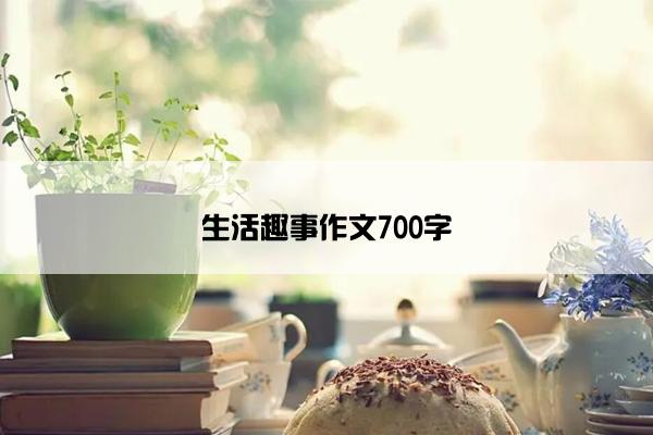 生活趣事作文700字