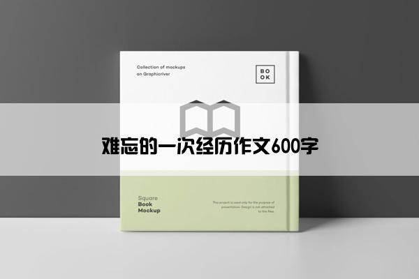 难忘的一次经历作文600字