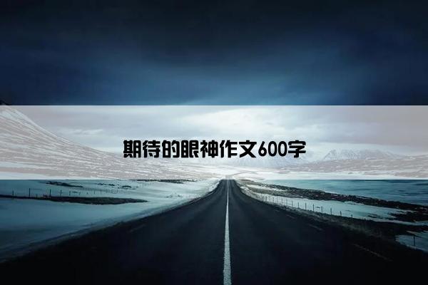 期待的眼神作文600字