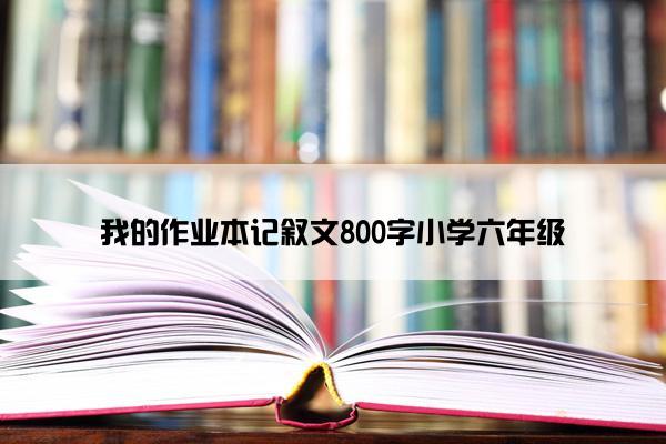 我的作业本记叙文800字小学六年级