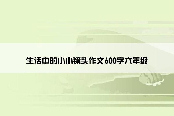 生活中的小小镜头作文600字六年级