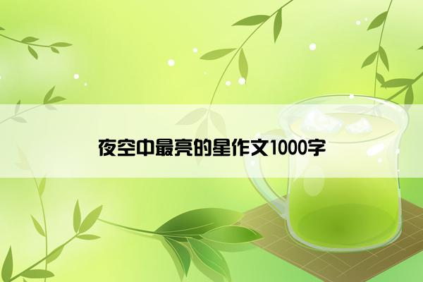 夜空中最亮的星作文1000字