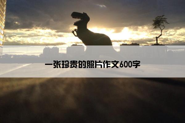 一张珍贵的照片作文600字