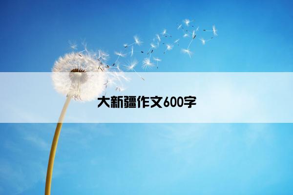 大新疆作文600字