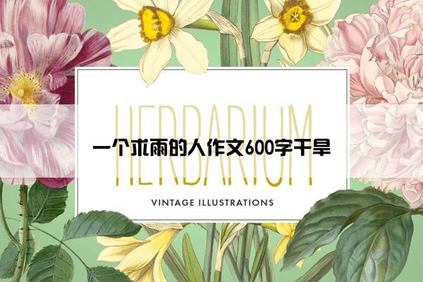 一个求雨的人作文600字干旱