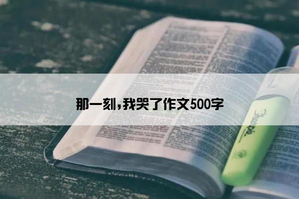 那一刻,我哭了作文500字
