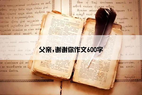 父亲,谢谢你作文600字