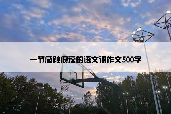 一节感触很深的语文课作文500字