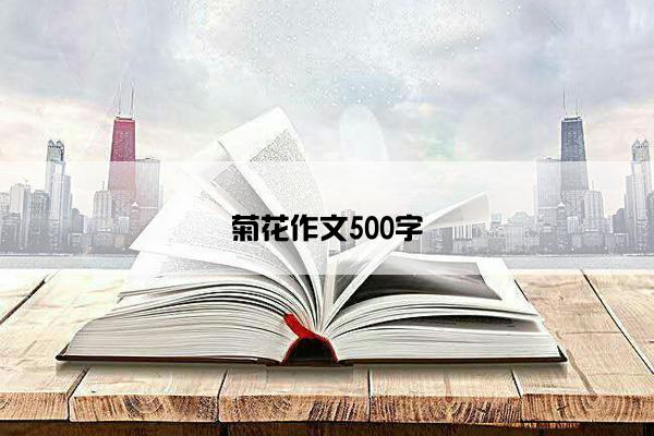 菊花作文500字