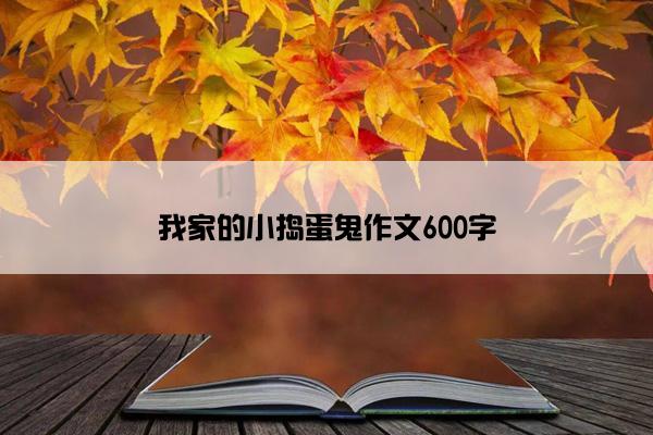 我家的小捣蛋鬼作文600字