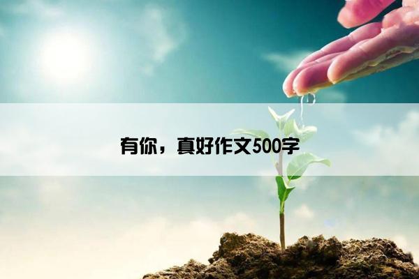 有你，真好作文500字