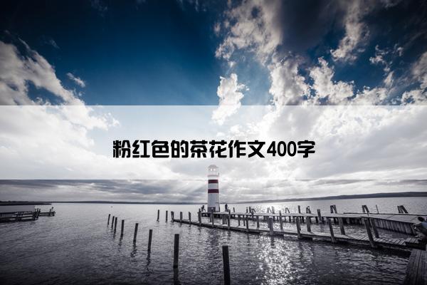 粉红色的茶花作文400字