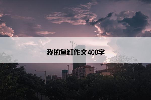 我的鱼缸作文400字
