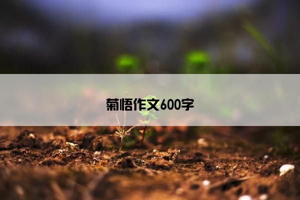 菊悟作文600字