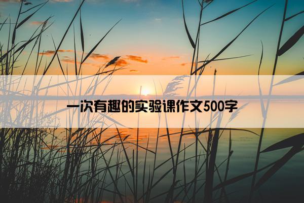 一次有趣的实验课作文500字