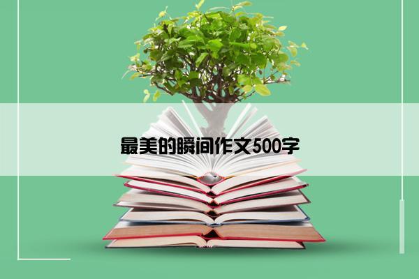 最美的瞬间作文500字