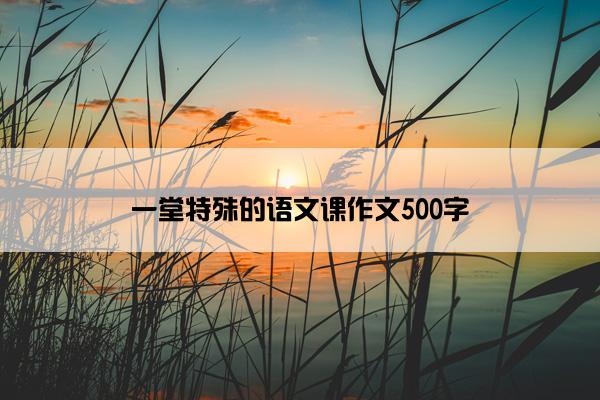 一堂特殊的语文课作文500字