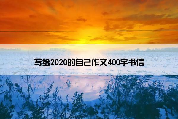 写给2020的自己作文400字书信