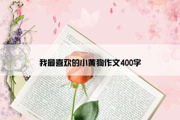 我最喜欢的小黄狗作文400字