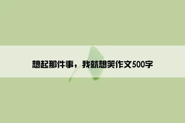 想起那件事，我就想笑作文500字