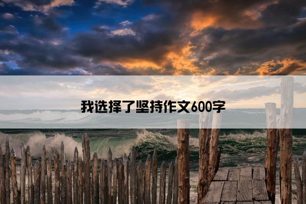 我选择了坚持作文600字