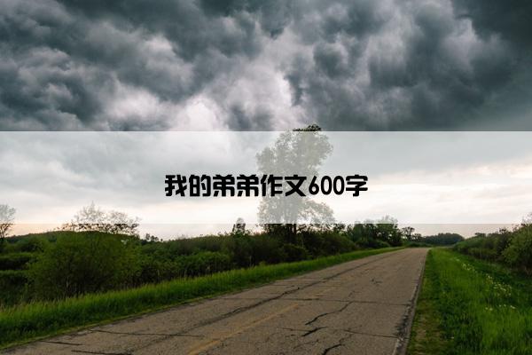 我的弟弟作文600字