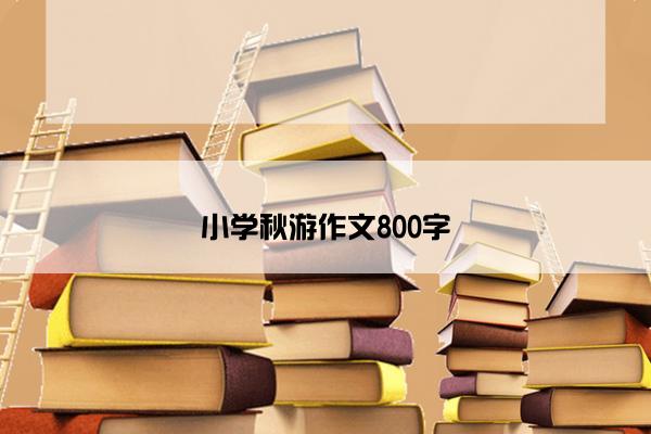 小学秋游作文800字
