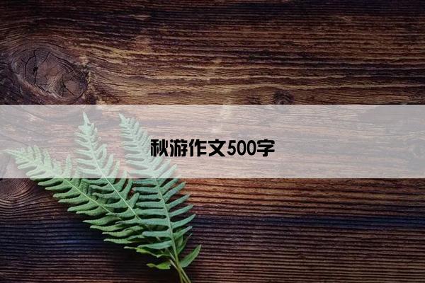 秋游作文500字