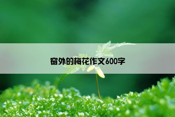 窗外的梅花作文600字