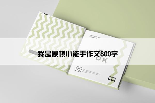 我是象棋小能手作文800字