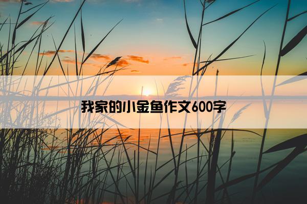我家的小金鱼作文600字