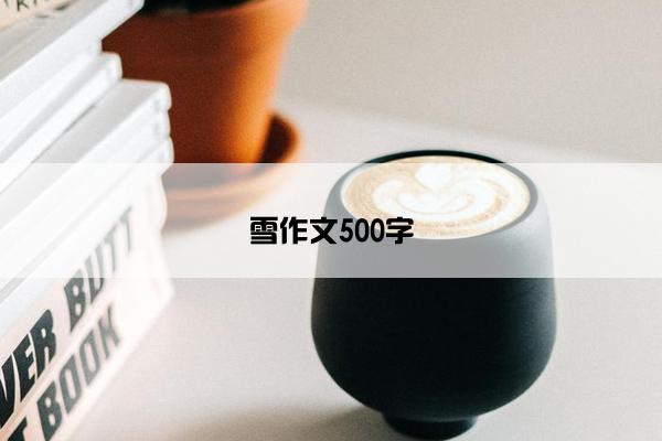 雪作文500字