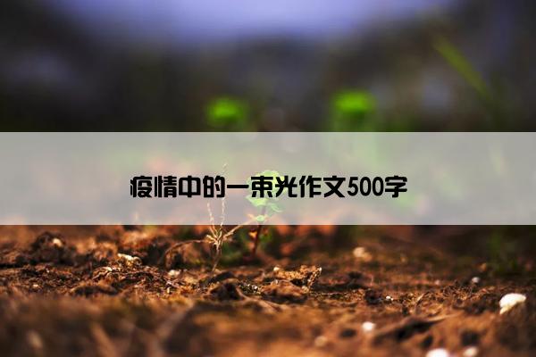 疫情中的一束光作文500字