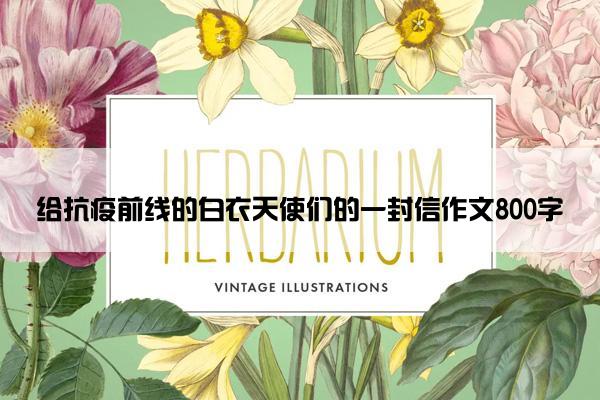 给抗疫前线的白衣天使们的一封信作文800字