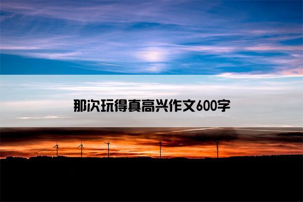 那次玩得真高兴作文600字