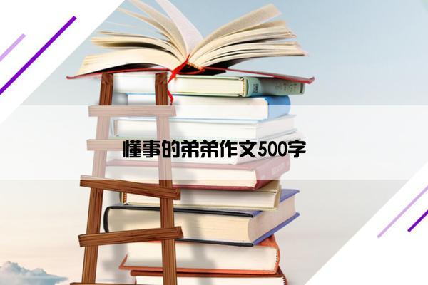 懂事的弟弟作文500字