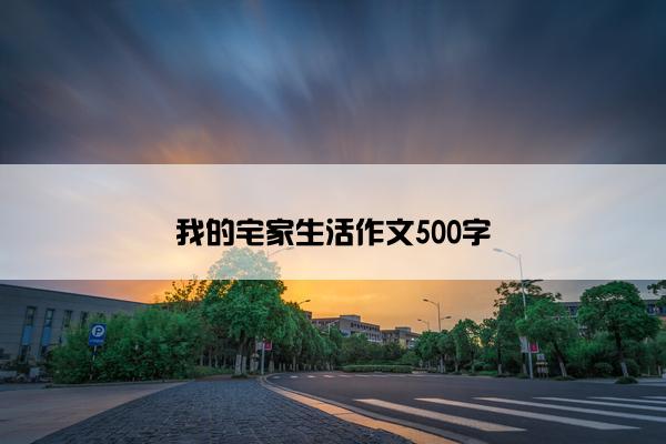 我的宅家生活作文500字