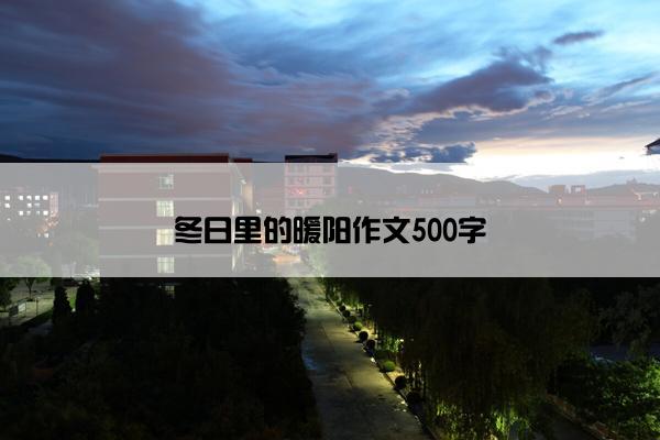 冬日里的暖阳作文500字