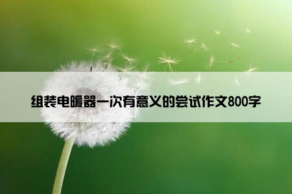 组装电暖器一次有意义的尝试作文800字