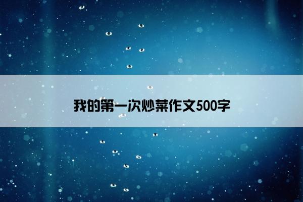 我的第一次炒菜作文500字