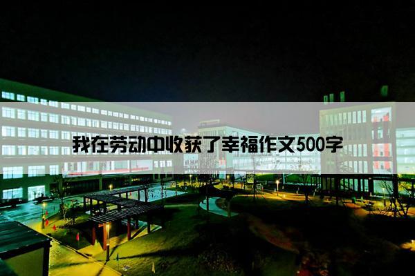 我在劳动中收获了幸福作文500字