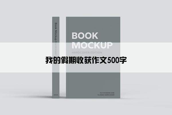 我的假期收获作文500字